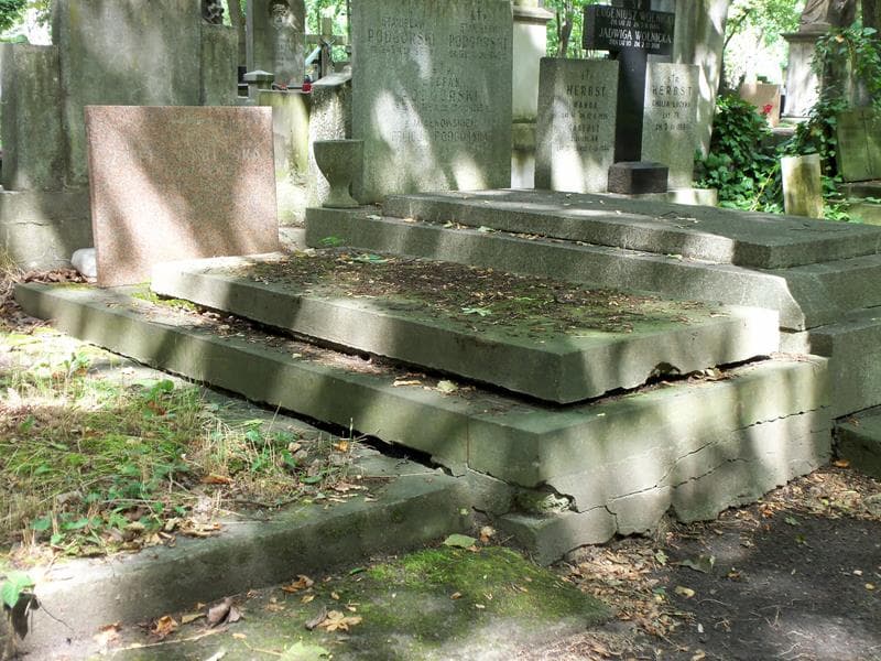 Zdjęcie grobu Maria Leszczyńska (1)