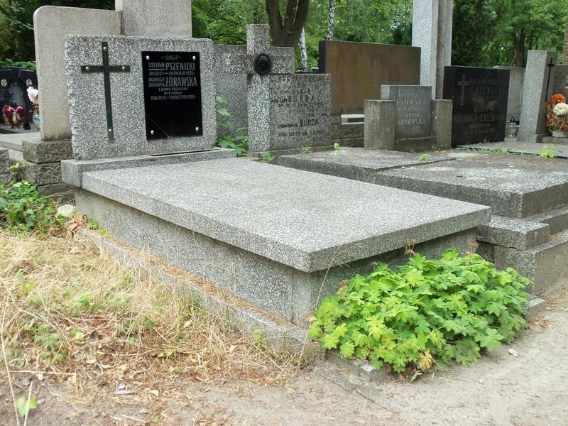 Zdjęcie grobu Jadwiga Jolanta Żórawska (1)