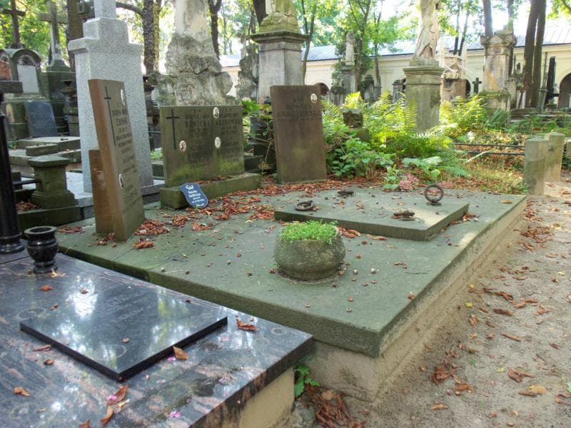 Zdjęcie grobu Henryka Czajewska (1)