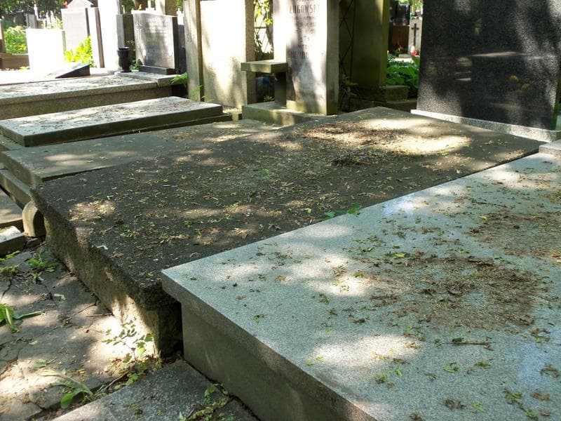 Zdjęcie grobu Zofja Błeszyńska (2)