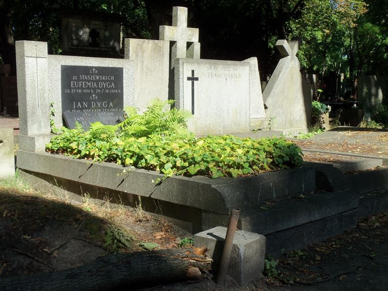Zdjęcie grobu Janina Barbara Hellwig (1)
