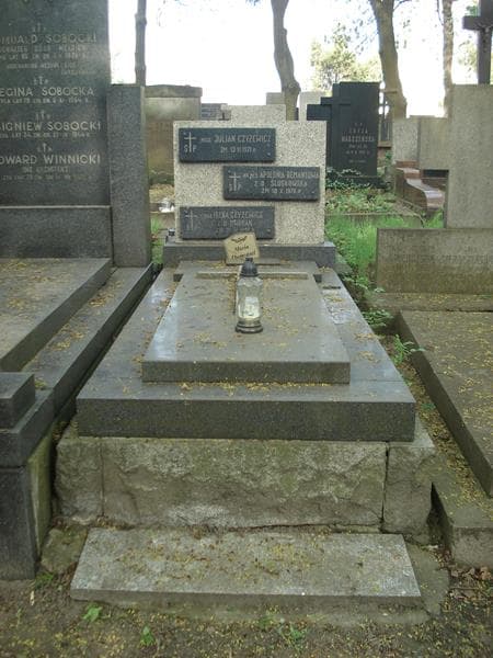 Zdjęcie grobu: Julian Czyżewicz