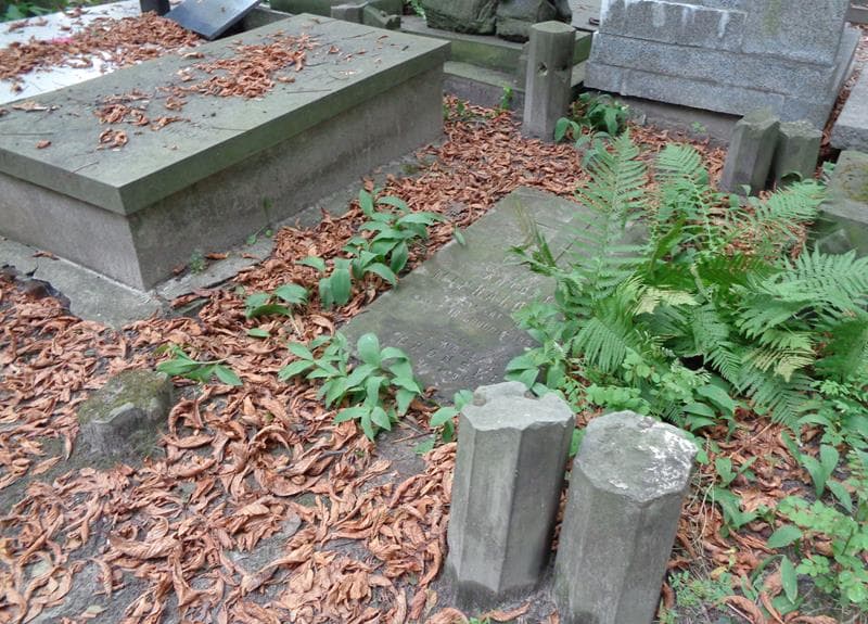 Zdjęcie grobu: Wacław Okoński