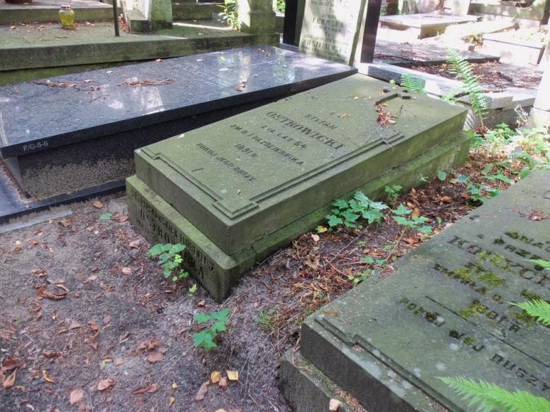 Zdjęcie grobu Florentyna Ostrowicka (1)