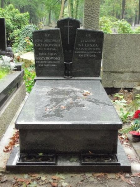 Zdjęcie grobu: Zygmunt Kulesza