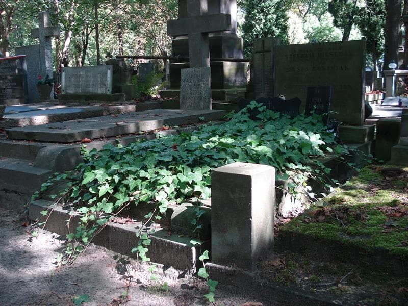 Zdjęcie grobu Ryszard Bitschan (1)