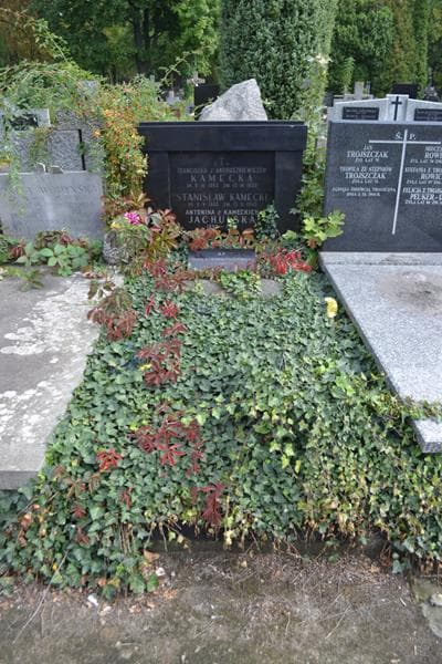 Zdjęcie grobu Antonina Jachulska (1)