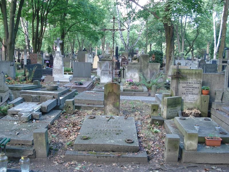 Zdjęcie grobu Walenty Lubecki (1)