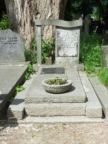 Zdjęcie grobu: Maria Olejnik