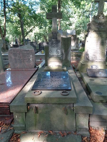 Zdjęcie grobu Teodor Colonna-Walewski (1)