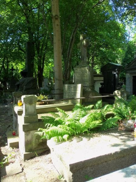 Zdjęcie grobu Henryk Jaślan (1)