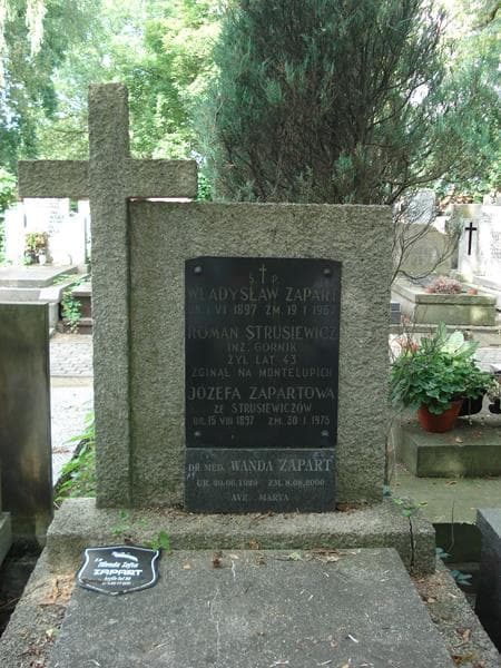 Zdjęcie grobu Roman Strusiewicz (2)