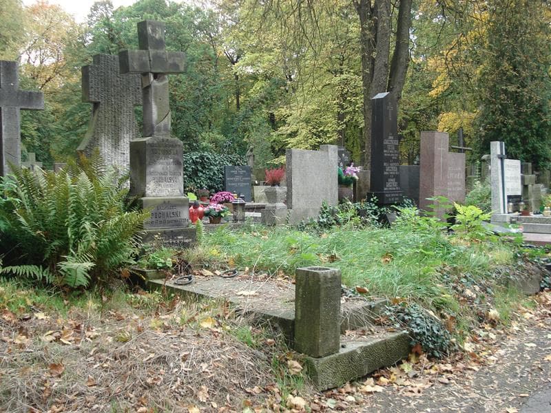 Zdjęcie grobu Stanisława Kuźmińska (1)