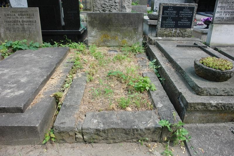 Zdjęcie grobu Feliks Libiszowski (1)
