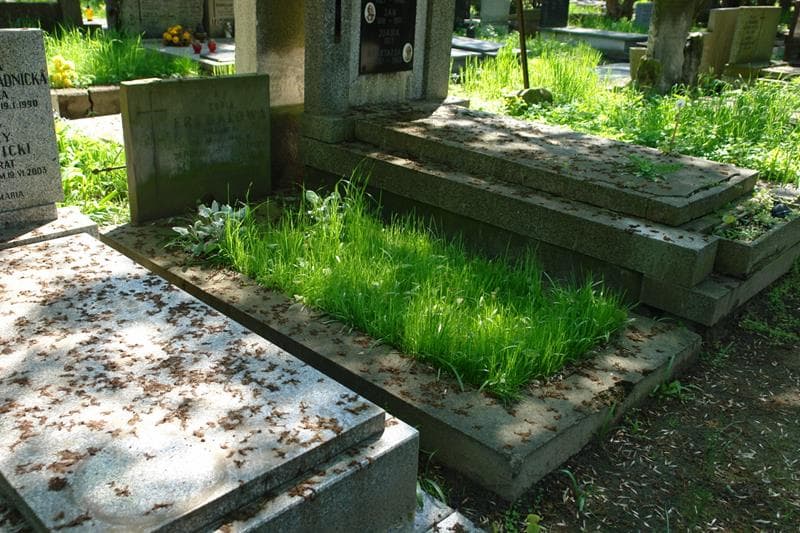 Zdjęcie grobu Zofia Frenklowa (1)