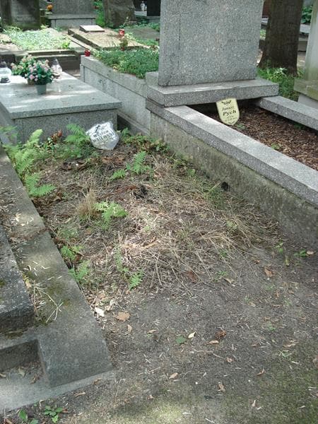 Zdjęcie grobu Wacław Walewski (1)