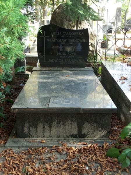Zdjęcie grobu: Władysław Tarnowski