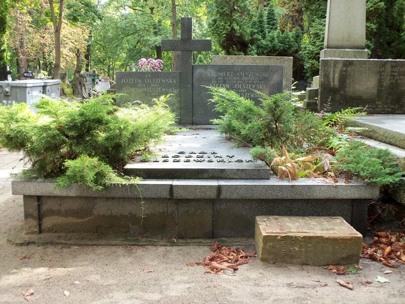 Zdjęcie grobu: Wanda Olszewska