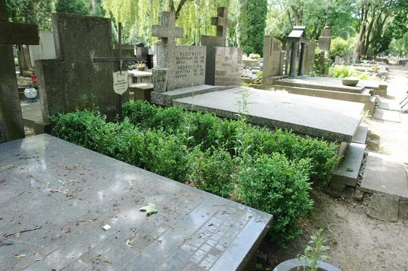 Zdjęcie grobu: Wacław Przypkowski