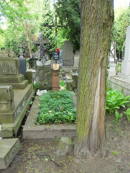 Zdjęcie grobu: Henryk Wolski
