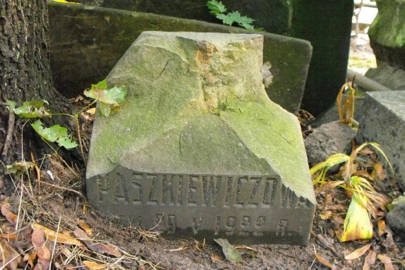 Zdjęcie grobu Paszkiewiczowa (1)
