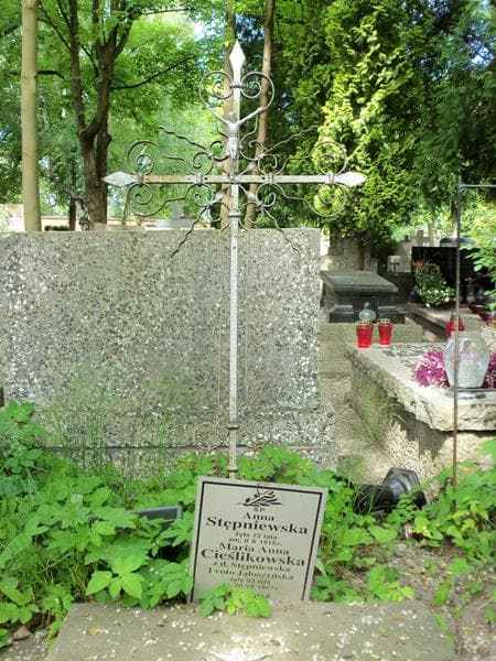 Zdjęcie grobu Tadeusz Jałoszyński (2)