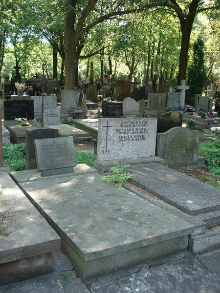 Zdjęcie grobu Maria Knothe (1)