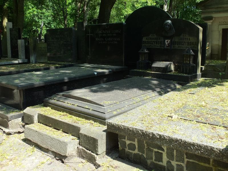Zdjęcie grobu Lucyna Drobczyńska (1)