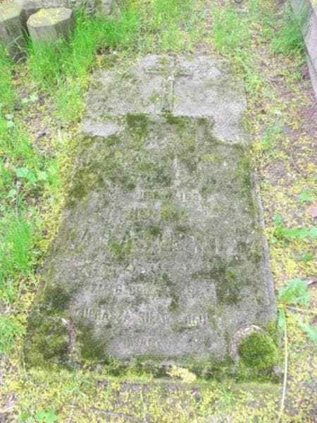 Zdjęcie grobu Henryk Tarasiewicz (1)