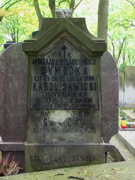 Zdjęcie grobu Stanisław Sawicki (2)