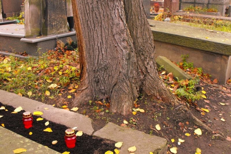 Zdjęcie grobu Pole Grobowe (2)