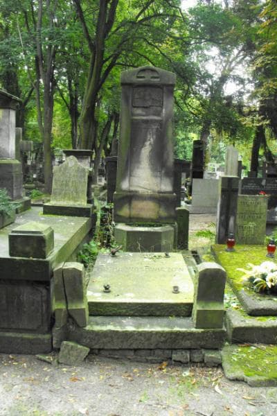 Zdjęcie grobu Wacław Dunin-Wąsowicz (1)