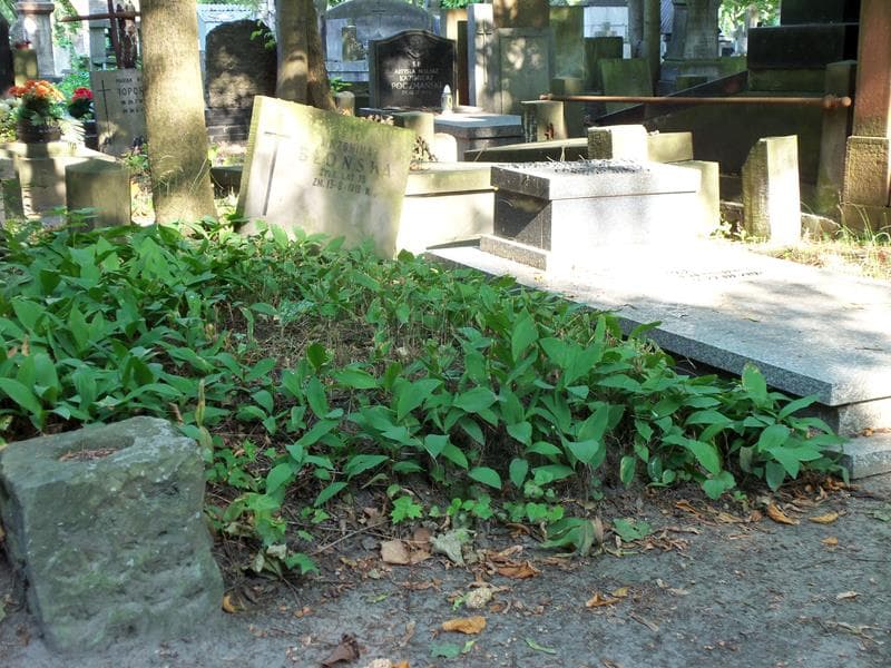 Zdjęcie grobu Antonina Błońska (1)