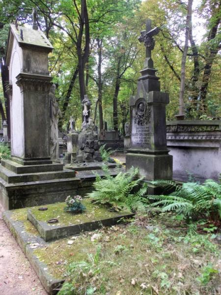 Zdjęcie grobu Marya Chojnacka (1)