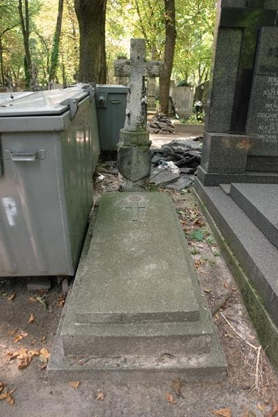 Zdjęcie grobu Mieczysław Perzyński (1)
