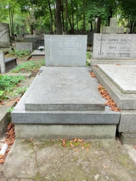Zdjęcie grobu: Edmund Budkowski