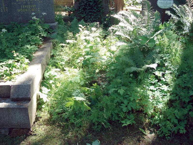 Zdjęcie grobu: Pole Grobowe