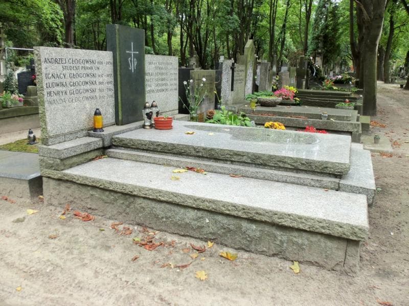 Zdjęcie grobu Henryk Głogowski (1)