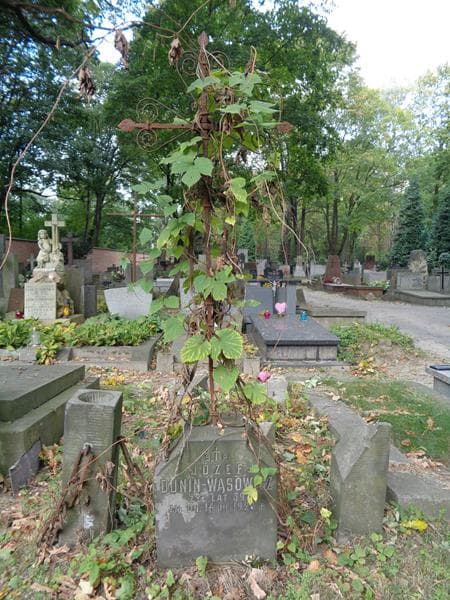 Zdjęcie grobu Józef Dunin-Wąsowicz (1)