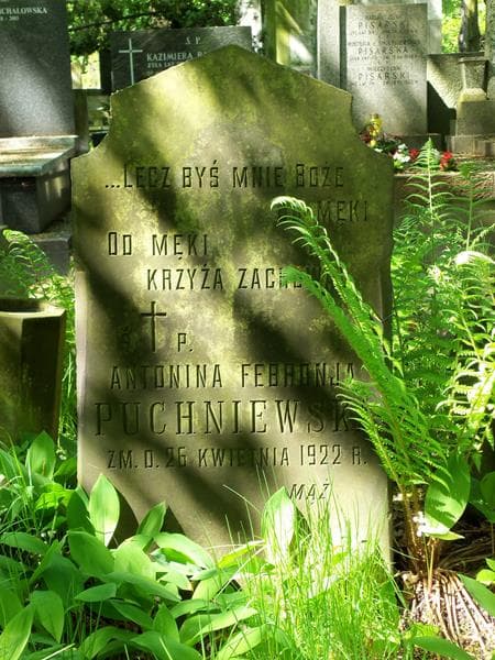 Zdjęcie grobu Antonina Febronja Puchniewska (2)