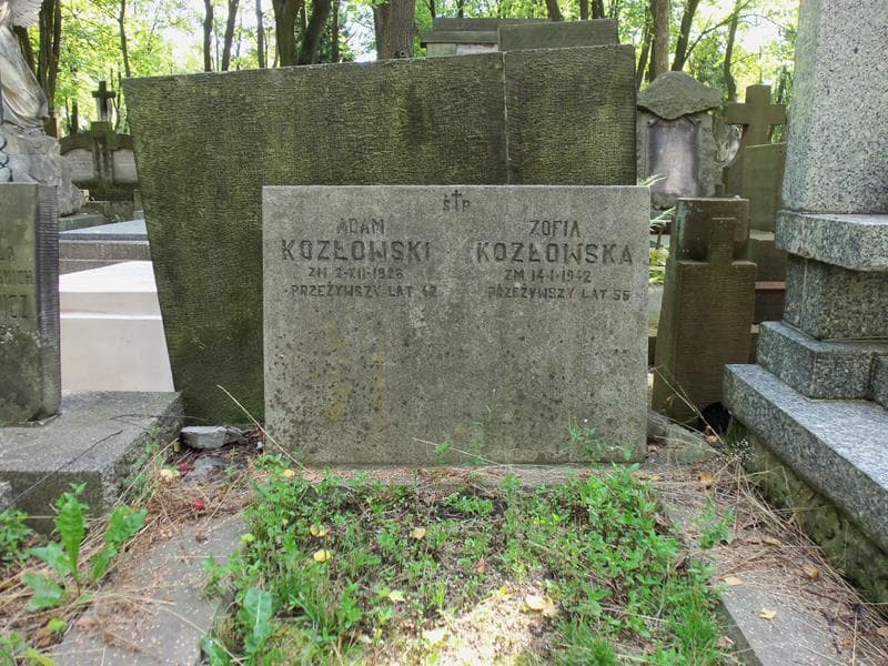 Zdjęcie grobu Zofia Kozłowska (2)