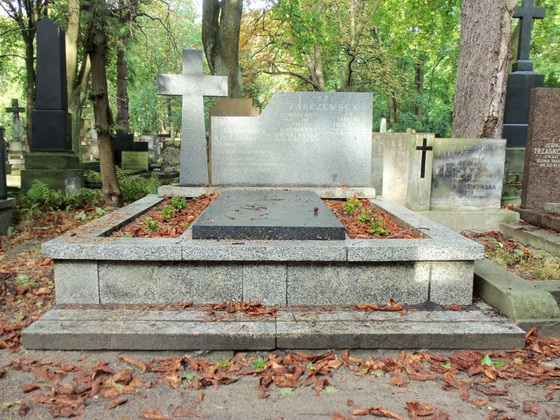Zdjęcie grobu: Tadeusz Iwanicki