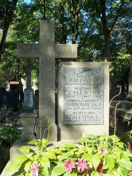 Zdjęcie grobu Henryka Dobrowolska (2)