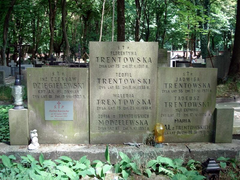 Zdjęcie grobu Czesław Dzięgielewski (1)