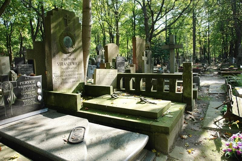 Zdjęcie grobu: Zygmunt Straszewicz