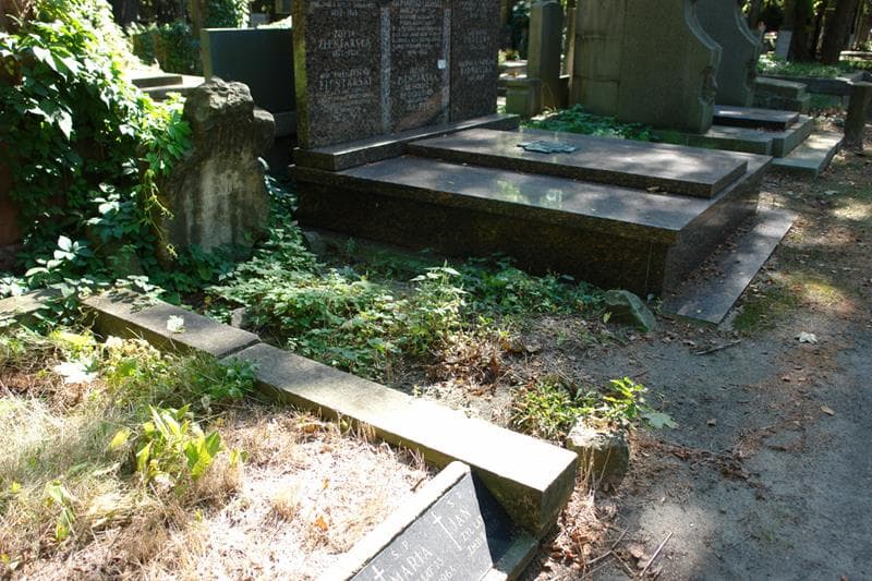 Zdjęcie grobu Napoleon Rutkiewicz (1)