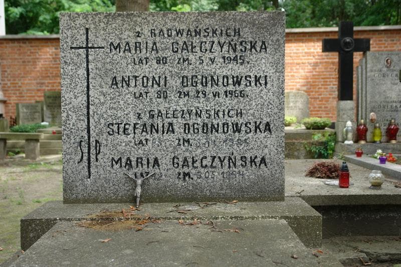 Zdjęcie grobu Antoni Ogonowski (2)