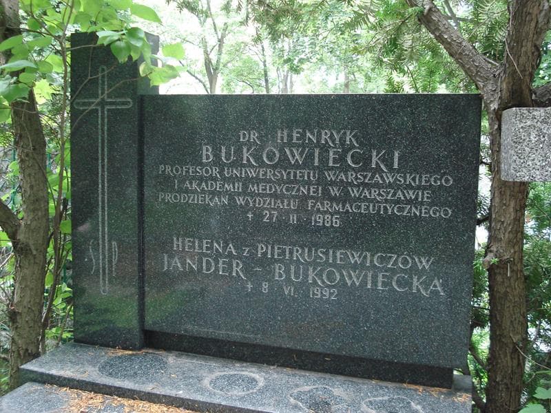 Zdjęcie grobu Henryk Bukowiecki (2)