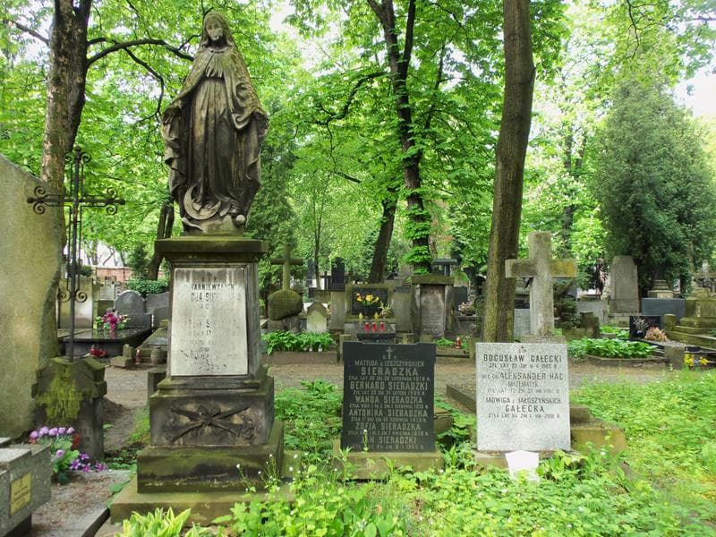 Zdjęcie grobu Franciszek Jałoszyński (2)