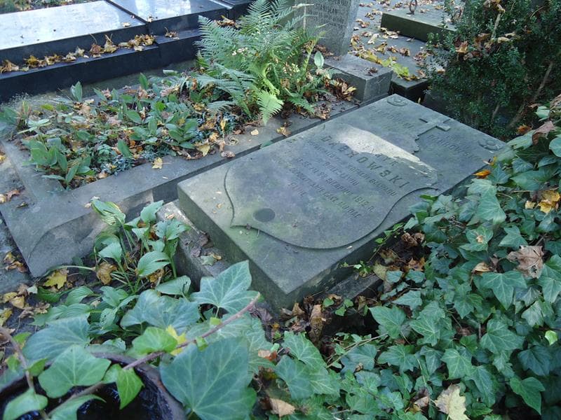 Zdjęcie grobu Henryk Dąbrowski (2)
